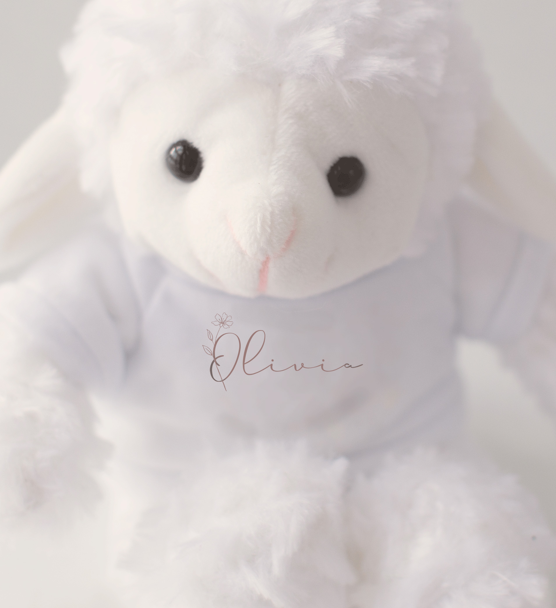 plushy-sheep-personalized-front-myphoto-edit-1200px-close-up